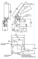 Heavy-Duty Throttle - 2