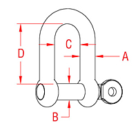 316 Stainless Steel Straight D Shackles with Screw Pin - 2