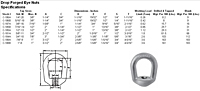 Drop Forged Eye Nuts - Regular <BR> Self-Colored or Hot Galvanized 2