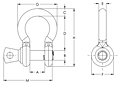 Round-Screw