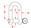 316 Stainless Steel Straight D Shackles with Screw Pin - 2