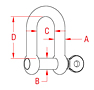 316 Stainless Steel Straight D Shackles with Captive Pin - 2