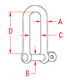 316 Stainless Steel Long D Shackles with Screw Pin - 2