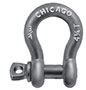 screw-pin-anchor-shackle.JPG